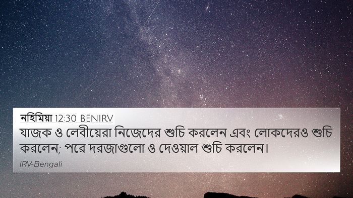 নহিমিয়া 12:30 BENIRV Bible Verse Image