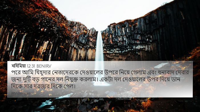 নহিমিয়া 12:31 BENIRV Bible Verse Image