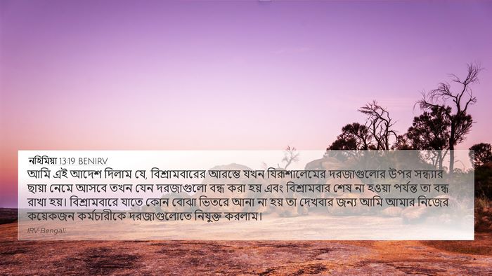নহিমিয়া 13:19 BENIRV Bible Verse Image