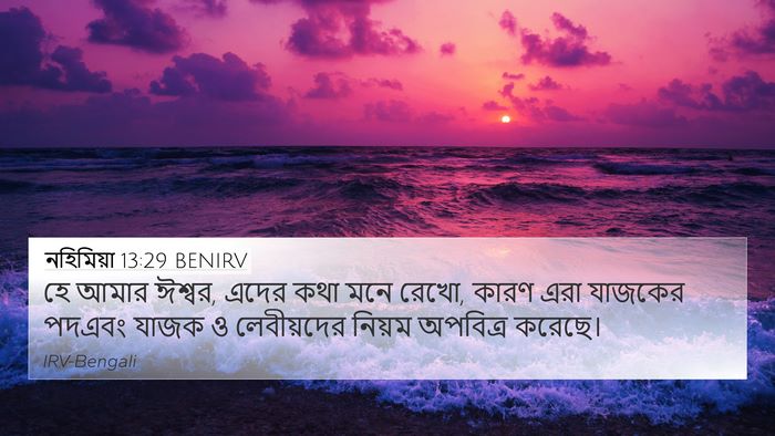 নহিমিয়া 13:29 BENIRV Bible Verse Image