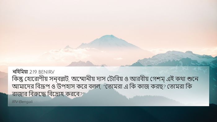 নহিমিয়া 2:19 BENIRV Bible Verse Image