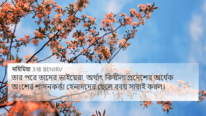 নহিমিয়া 3:18 BENIRV Bible Verse Image