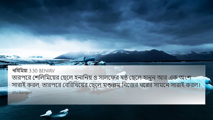 নহিমিয়া 3:30 BENIRV Bible Verse Image