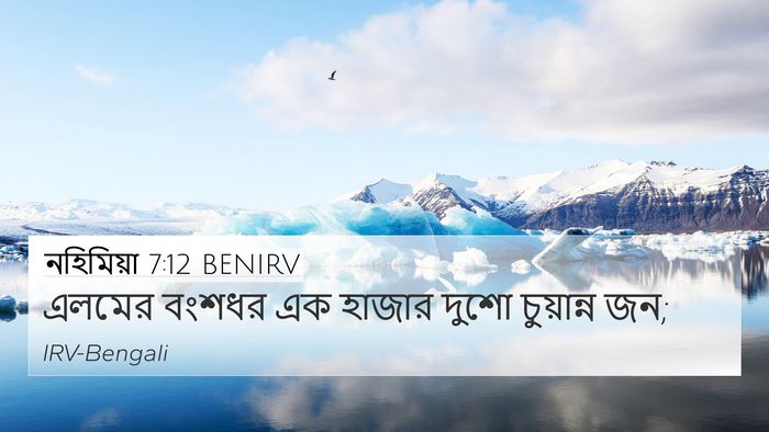 নহিমিয়া 7:12 BENIRV 4K Wallpaper - এলমের বংশধর এক - 4K Wallpaper Bible Verse
