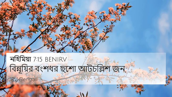 নহিমিয়া 7:15 BENIRV 4K Wallpaper - বিন্নূয়ির বংশধর - 4K Wallpaper Bible Verse