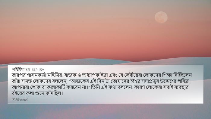 নহিমিয়া 8:9 BENIRV Bible Verse Image