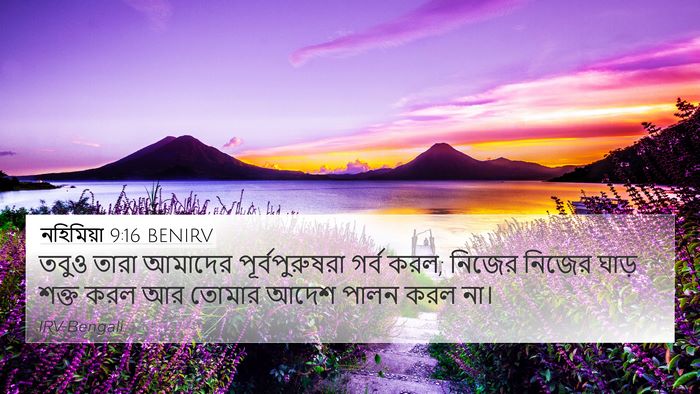 নহিমিয়া 9:16 BENIRV Bible Verse Image