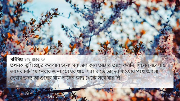 নহিমিয়া 9:19 BENIRV Bible Verse Image