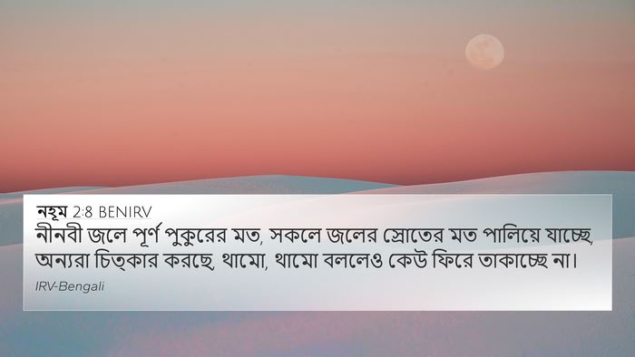নহূম 2:8 BENIRV Bible Verse Image