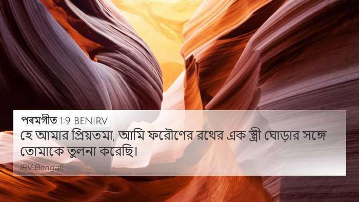 পৰমগীত 1:9 BENIRV 4K Wallpaper - হে আমার প্রিয়তমা, - 4K Wallpaper Bible Verse