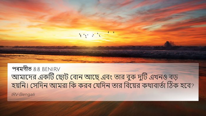 পৰমগীত 8:8 BENIRV Bible Verse Image