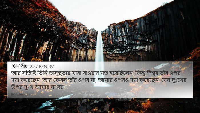 ফিলিপীয়া 2:27 BENIRV Bible Verse Image