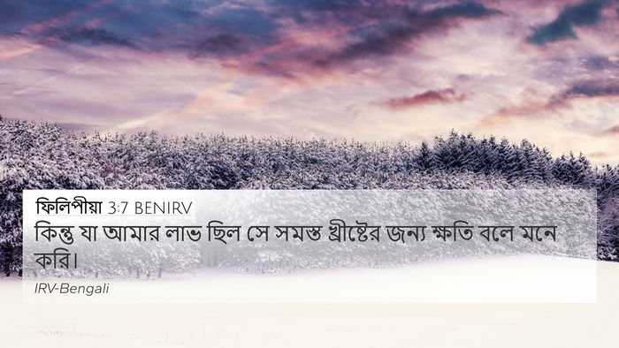 ফিলিপীয়া 3:7 BENIRV Bible Verse Image