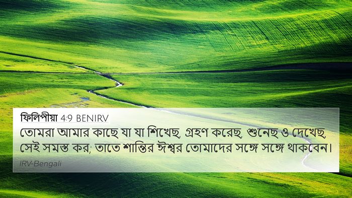 ফিলিপীয়া 4:9 BENIRV Bible Verse Image