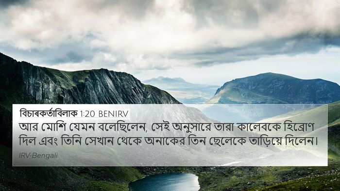 বিচাৰকর্তাবিলাক 1:20 BENIRV Bible Verse Image