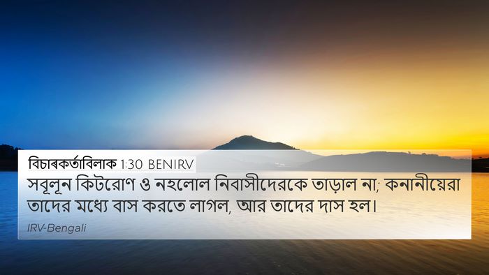 বিচাৰকর্তাবিলাক 1:30 BENIRV Bible Verse Image