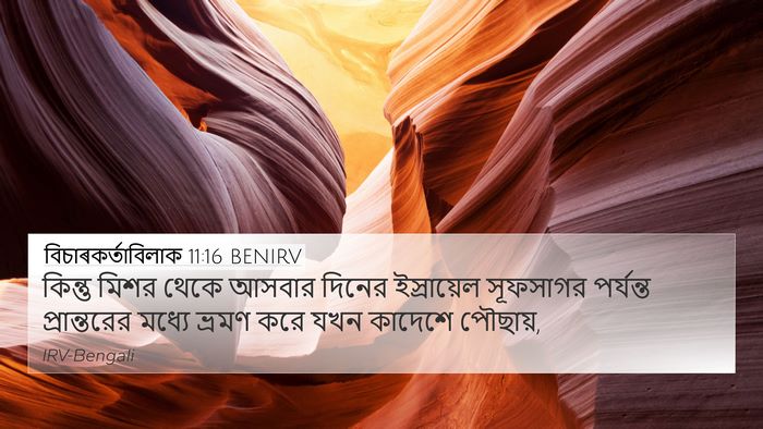 বিচাৰকর্তাবিলাক 11:16 BENIRV Bible Verse Image