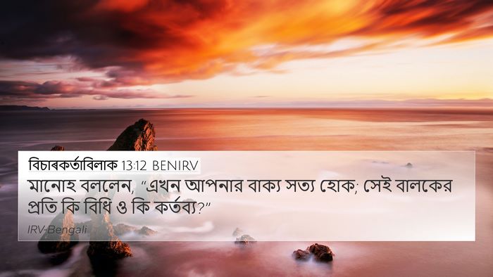 বিচাৰকর্তাবিলাক 13:12 BENIRV 4K Wallpaper - মানোহ বললেন, “এখন - 4K Wallpaper Bible Verse