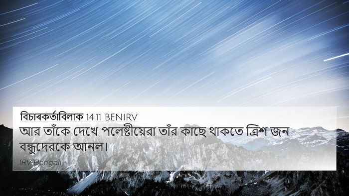 বিচাৰকর্তাবিলাক 14:11 BENIRV Bible Verse Image