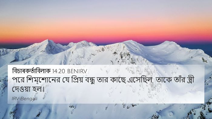 বিচাৰকর্তাবিলাক 14:20 BENIRV Bible Verse Image