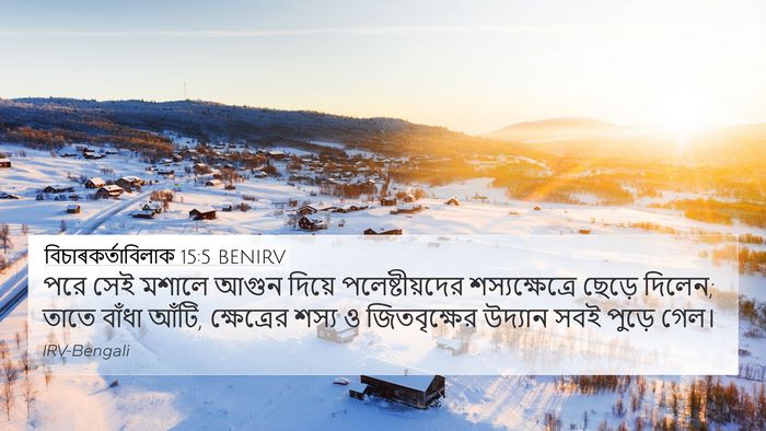 বিচাৰকর্তাবিলাক 15:5 BENIRV 4K Wallpaper - পরে সেই মশালে আগুন - 4K Wallpaper Bible Verse