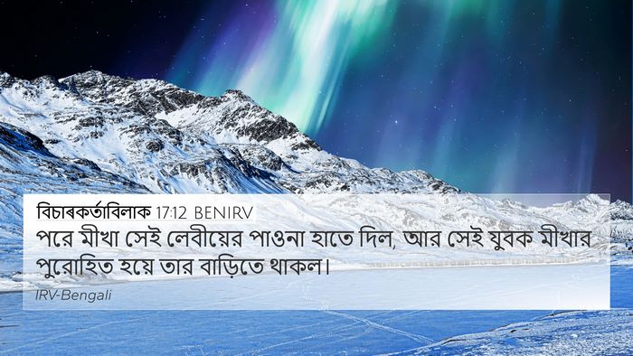 বিচাৰকর্তাবিলাক 17:12 BENIRV Bible Verse Image