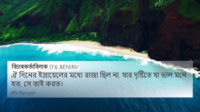 বিচাৰকর্তাবিলাক 17:6 BENIRV Bible Verse Image
