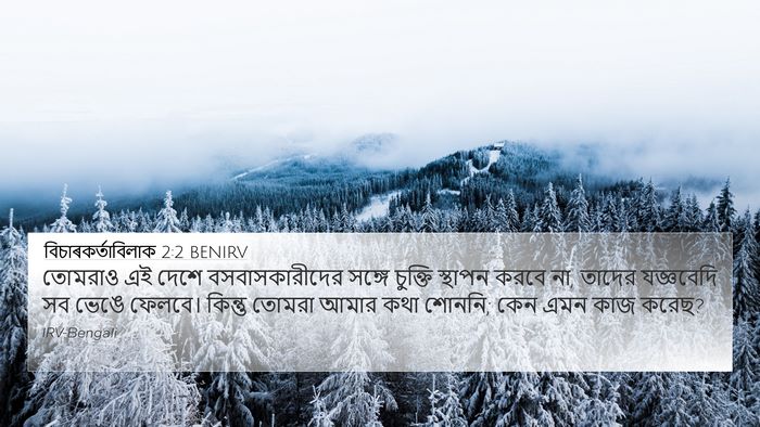 বিচাৰকর্তাবিলাক 2:2 BENIRV Bible Verse Image