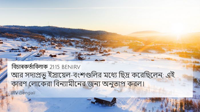 বিচাৰকর্তাবিলাক 21:15 BENIRV Bible Verse Image