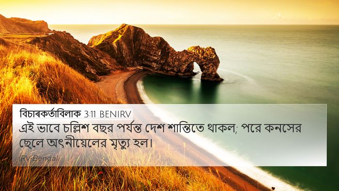 বিচাৰকর্তাবিলাক 3:11 BENIRV Bible Verse Image