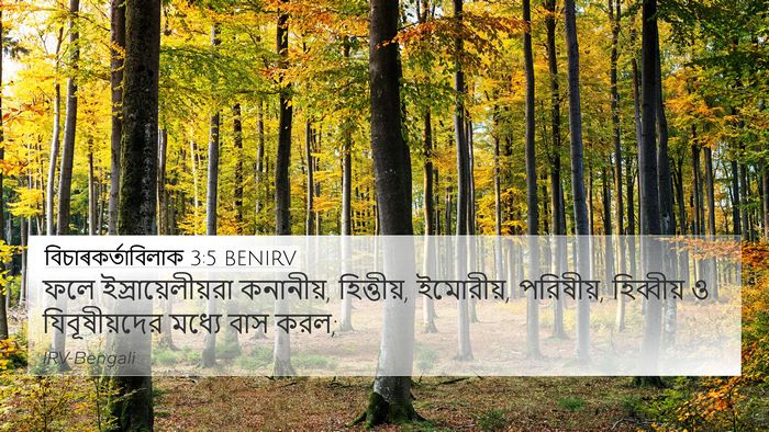 বিচাৰকর্তাবিলাক 3:5 BENIRV Bible Verse Image