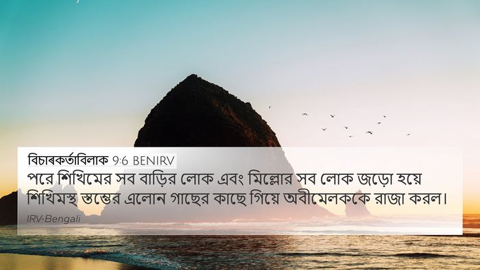 বিচাৰকর্তাবিলাক 9:6 BENIRV Bible Verse Image