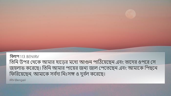 বিলাপ 1:13 BENIRV Bible Verse Image
