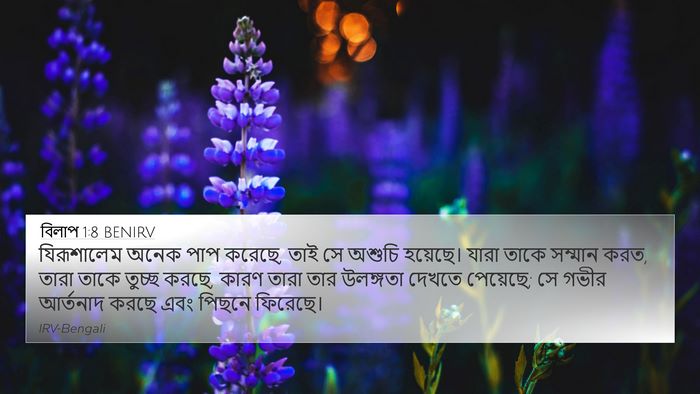 বিলাপ 1:8 BENIRV Bible Verse Image