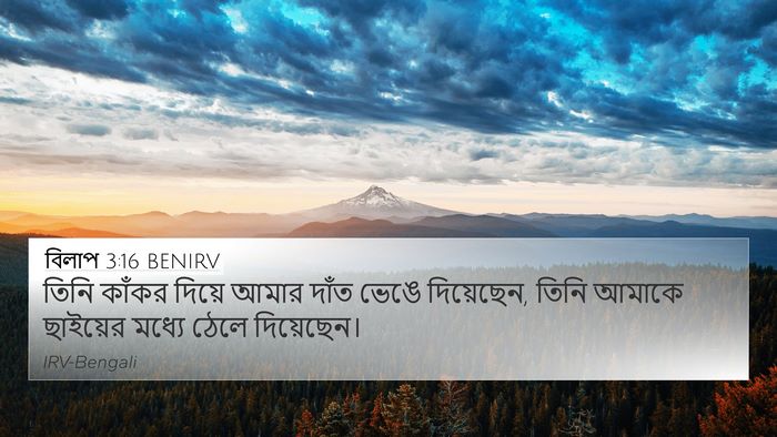 বিলাপ 3:16 BENIRV 4K Wallpaper - তিনি কাঁকর দিয়ে - 4K Wallpaper Bible Verse