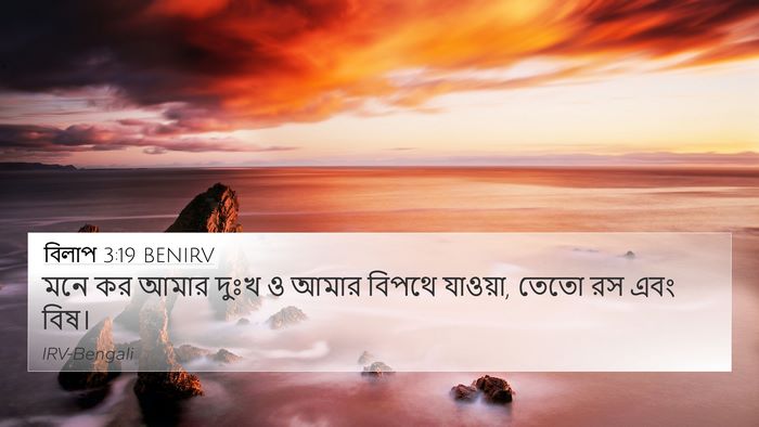বিলাপ 3:19 BENIRV Bible Verse Image