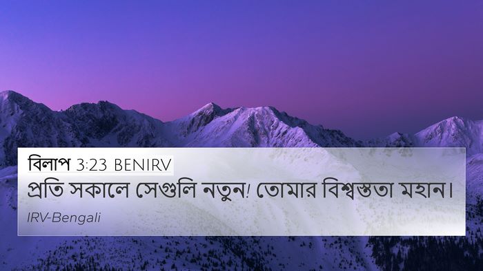 বিলাপ 3:23 BENIRV Bible Verse Image