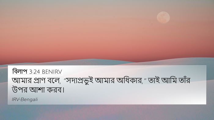 বিলাপ 3:24 BENIRV Bible Verse Image