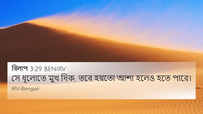 বিলাপ 3:29 BENIRV Bible Verse Image