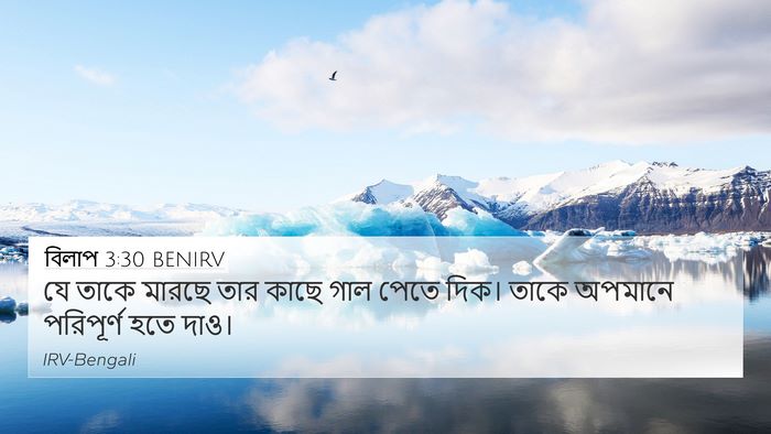 বিলাপ 3:30 BENIRV Bible Verse Image