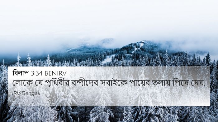 বিলাপ 3:34 BENIRV Bible Verse Image