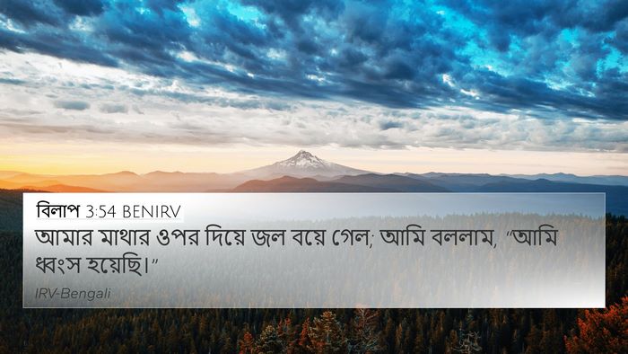 বিলাপ 3:54 BENIRV Bible Verse Image