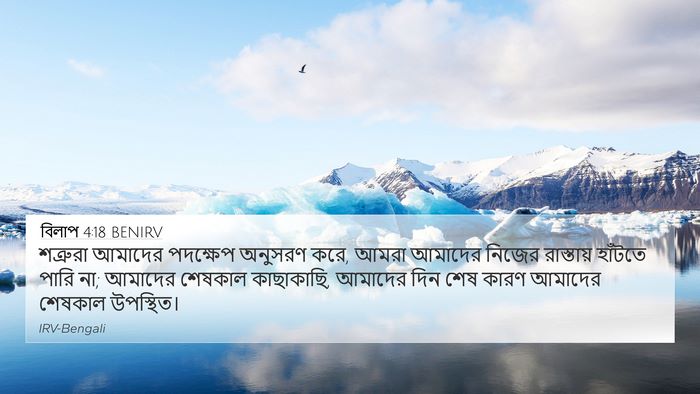 বিলাপ 4:18 BENIRV Bible Verse Image
