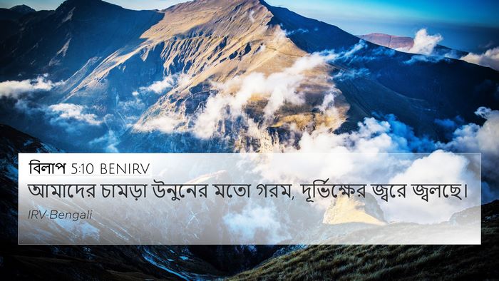 বিলাপ 5:10 BENIRV Bible Verse Image