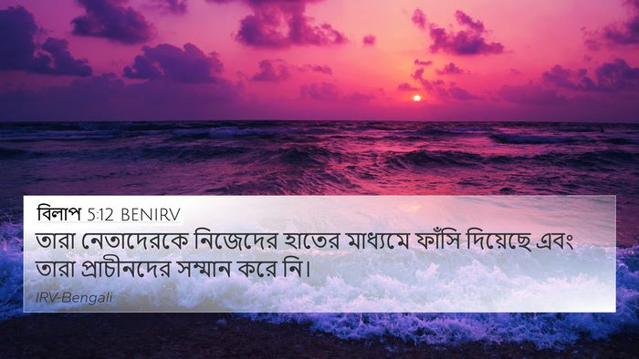 বিলাপ 5:12 BENIRV Bible Verse Image