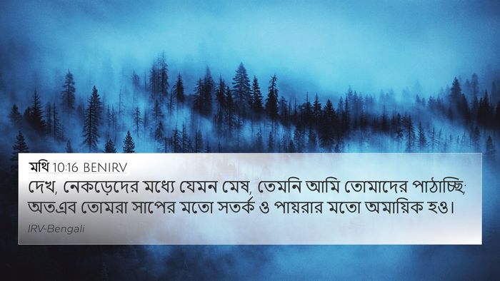 মথি 10:16 BENIRV Bible Verse Image