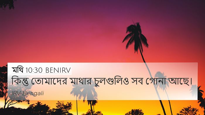 মথি 10:30 BENIRV Bible Verse Image