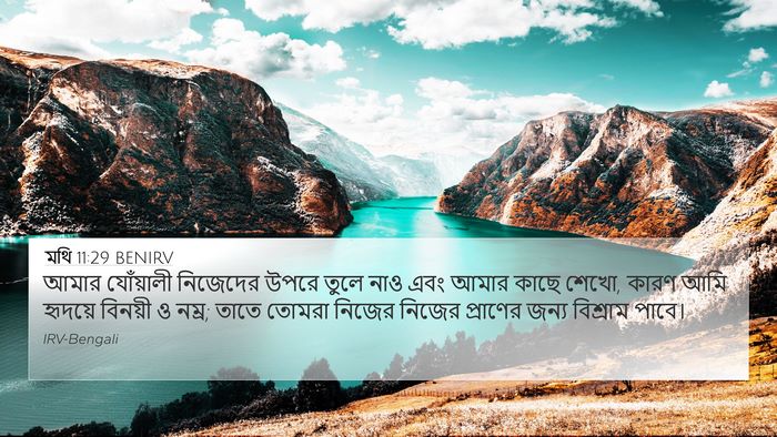 মথি 11:29 BENIRV Bible Verse Image