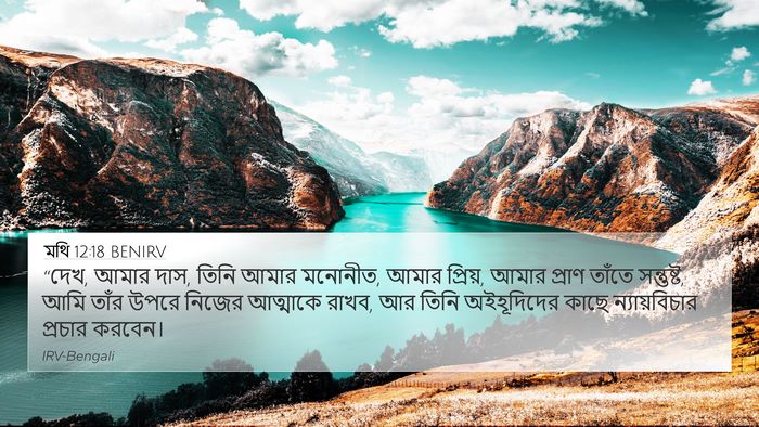মথি 12:18 BENIRV Bible Verse Image
