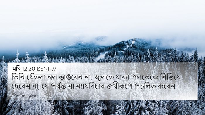 মথি 12:20 BENIRV Bible Verse Image